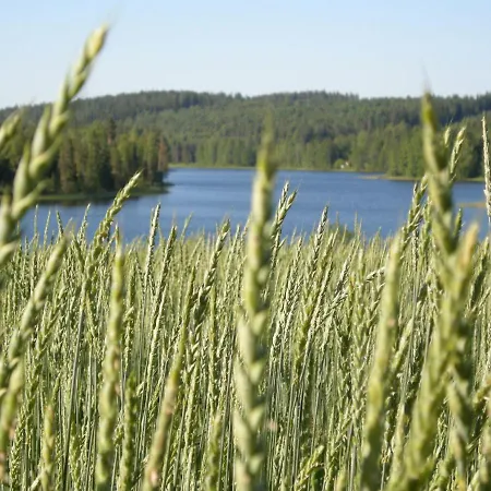 Kumpunen Petäjävesi