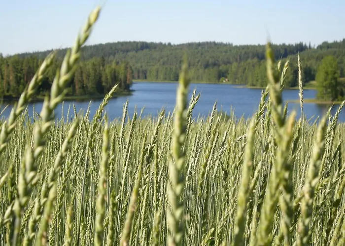 Kumpunen Petäjävesi